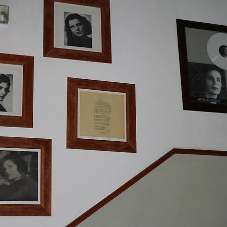 Guest house Marfim 2*